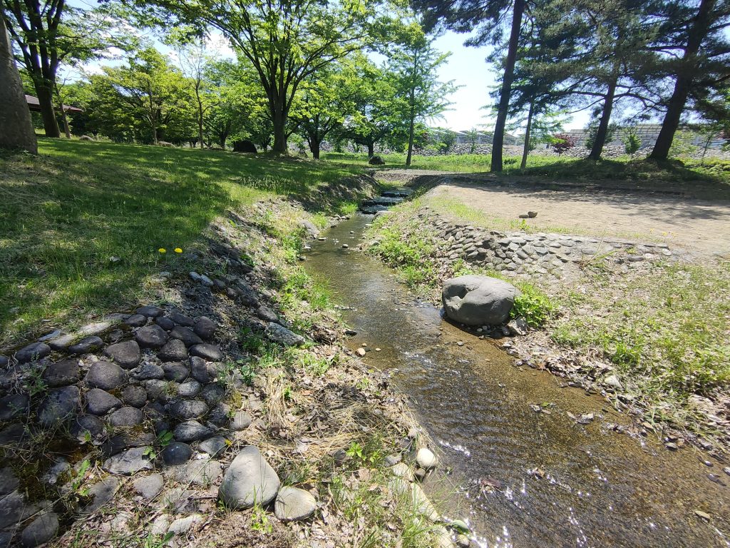 公園内を流れる小川