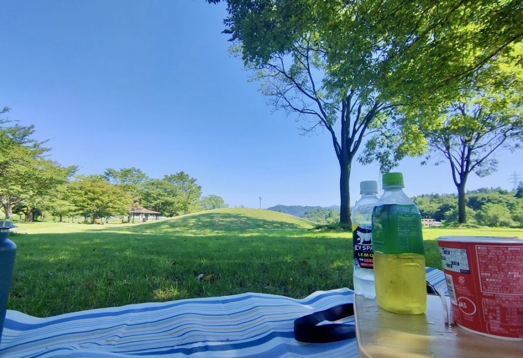 芝生の上に敷いたピクニックシート